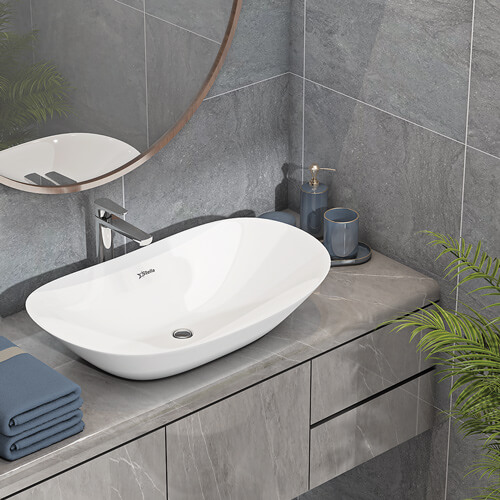 Mushuk, eshak, anus va qinning yorilishi